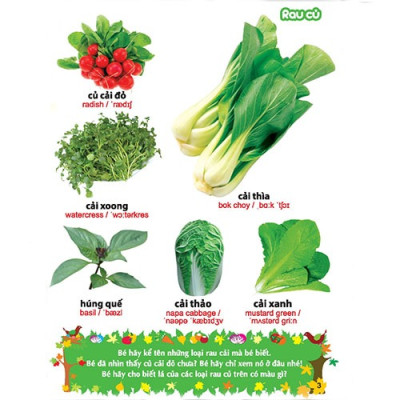 Sách: Từ Điển Tranh Về Rau - Củ - Quả - Hoa (Bìa Cứng)