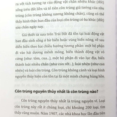 Tri Thức Bách Khoa - Côn Trùng - Động Vật - Con Người - Thực Vật
