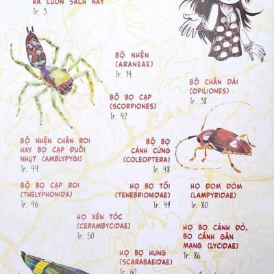 Sinh Vật Học Kỳ Thú - Bọ Cánh Cứng, Nhện Và Những Người Bạn Khác