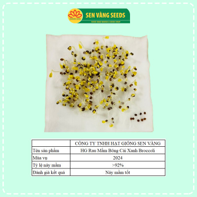 Hạt Giống Rau Mầm Bông Cải Xanh Broccoli - Hạt chắc, nảy mầm khỏe, siêu dinh dưỡng - HẠT GIỐNG SEN VÀNG