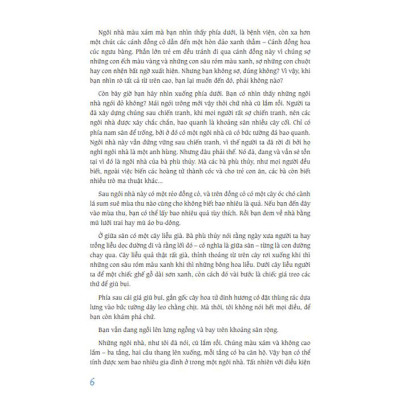 Cánh Đồng Hoa Cúc Ngưu Bàng