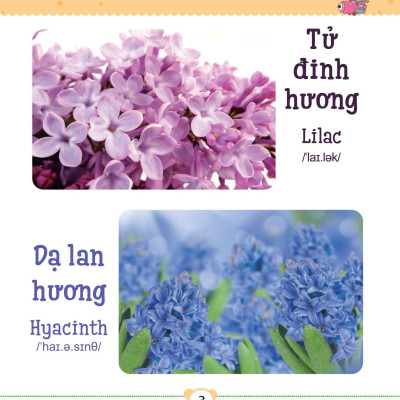 Từ Điển Bằng Tranh Dành Cho Trẻ Em - Các Loài Hoa