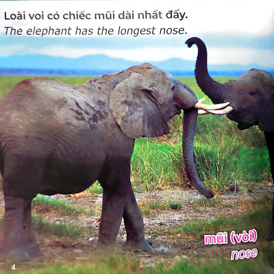 Gõ Cửa Thiên Nhiên Loài Nào Cũng Có Cái Nhất/Đặc Điểm_Animal Champions