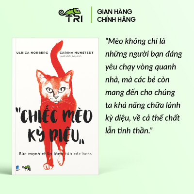 Sách - Chiếc Mèo Kỳ Diệu - Ulrica Norberg & Carina Nunstedt - Tuệ Tri
