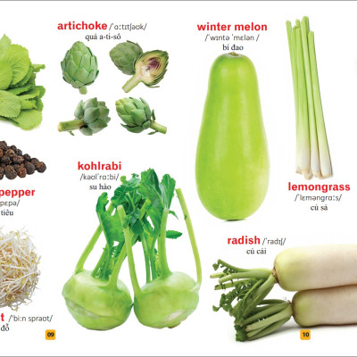 Sách: Từ Điển Tranh Về Rau - Củ - Quả - Hoa (Bìa Cứng)