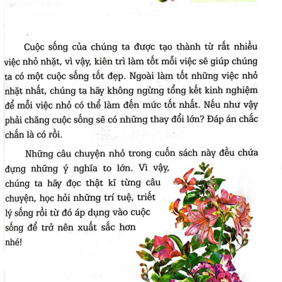 Nhật Kí Trưởng Thành Cho Học Sinh Tiểu Học - Tích Cực - Biện Pháp Luôn Nhiều Hơn Khó Khăn