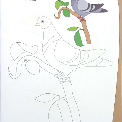 Sách - Bé Tập Tô Màu - Các Loài Chim