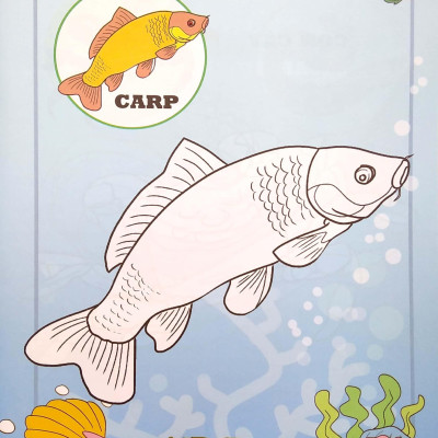 Em Tập Tô Màu - Chủ Đề: Động Vật Sống Dưới Nước