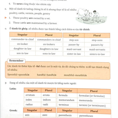 Bài Tập Bổ Trợ Ngữ Pháp Tiếng Anh Lớp 7