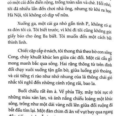 Sách - Danh Tác Văn Học Việt Nam - Nắng Trong Vườn (Tái Bản 2024)