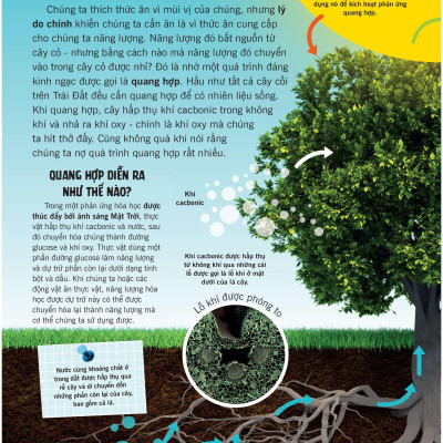 Khoa Học Ăn Được Không?