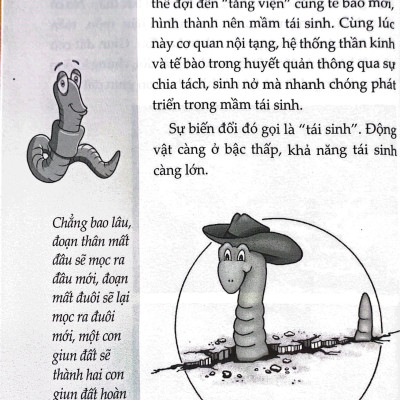 Sách- 10 Vạn Câu Hỏi Vì Sao- Động Vật- 2HBooks