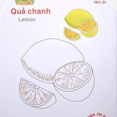 Gấu Con Khéo Tay - Bé Tô Màu: Trái Cây