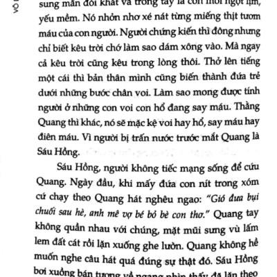 Cửa Sổ Hình Tia Chớp