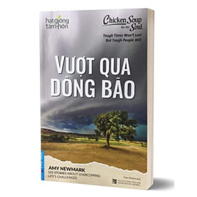 Hạt Giống Tâm Hồn - Chicken Soup For The Soul - Vượt Qua Dông Bão_FN