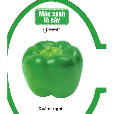 Quả Trứng Đáng Yêu Của Bé