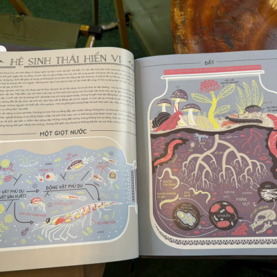 (Bìa cứng, In màu) SỰ VẬN HÀNH KỲ DIỆU CỦA TRÁI ĐẤT - Hiểu Về Thế Giới Của Chúng Ta Và Các Hệ Sinh Thái - Rachel Ignotofsky - Mai Ngọc Tú dịch - Crabit Kidbooks