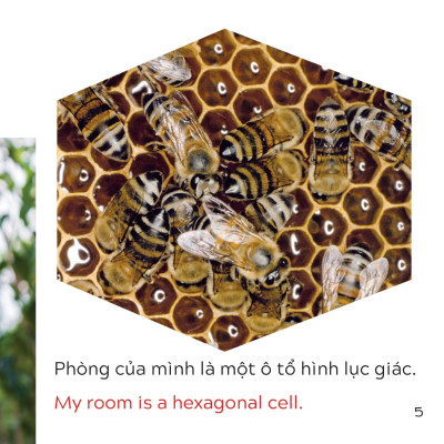 Song Ngữ Việt Anh - Khám Phá Thế Giới - Bạn Sống Ở Đâu Thế? - Where Do You Live?