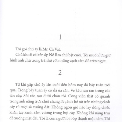 Mr. Cà Vạt