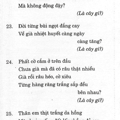 333 Câu Đố Luyện Trí Thông Minh