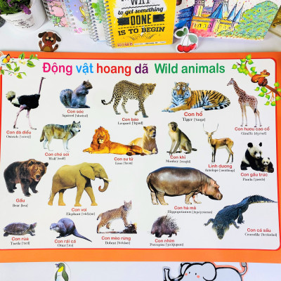 Sách - Combo 9 tờ Tranh Dành Cho Bé (song ngữ Anh Việt) - ndbooks