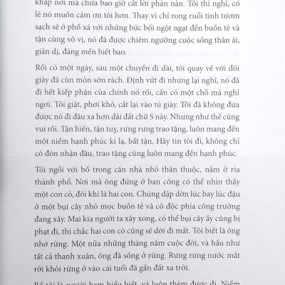 Thương Nhau Như Người Thân