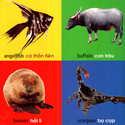 	101 First Words – Animals (101 Từ Đầu Tiên – Động Vật) _ML
