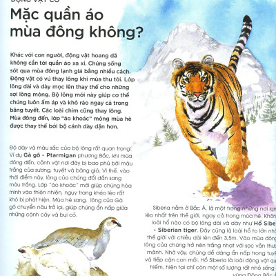 Bạn Có Biết: Động Vật Có Cần Che Ô Không? - Hỏi Đáp Về Thế Giới Hoang Dã