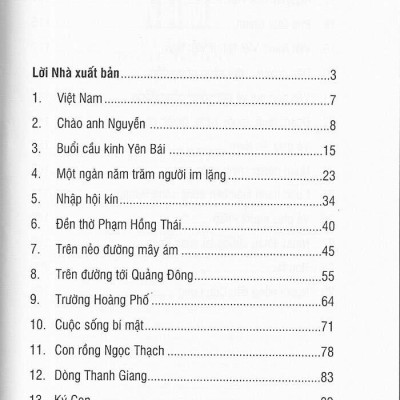 Việt Nam Bi Thảm Đông Dương