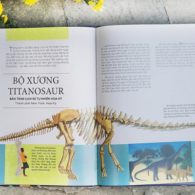 Bách khoa tri thức về các kỳ quan trên thế giới
