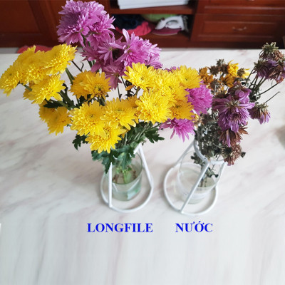 Dung Dịch Xử Lý Hoa TOG Galileo của ISRAEL (Chai 1 Lít) dùng bảo quản hoa cắt cành tươi lâu tại Nhà Vườn Trồng Hoa, Vựa Hoa và Chợ Sỉ Hoa. Tỷ lệ dung dịch 0.1% tức chai 1 Lít TOG pha được 1.000 Lít dung dịch xử lý hoa
