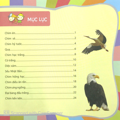 Bách Khoa Toàn Thư Nhỏ (Bằng Tranh) - Các Loài Chim