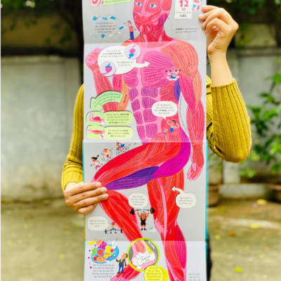 Big Book Of The Body – Cuốn Sách Khổng Lồ Về Cơ Thể Người