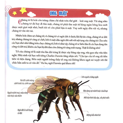 Bách khoa động vật dành cho trẻ nhỏ