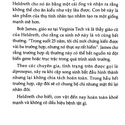 Bí Ẩn Mãi Mãi Là Bí Ẩn 03 (Tái Bản 2022)