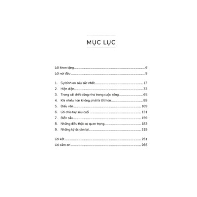 Vẻ Đẹp Của Những Điều Còn Lại (SGB)