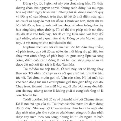 Hoa Súng Đen