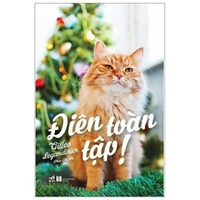 Điên toàn tập! - Bản Quyền