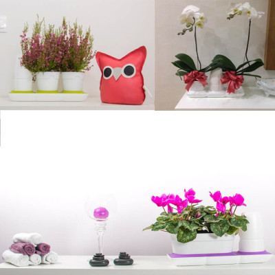 Chậu Để Bàn Thông Minh Tự Động Tưới và Tự động bón phân trong 2 tháng Minigarden Basic S Pots (1 bộ gồm 1 bình chứa nước, 2 chậu trồng và 3 túi dinh dưỡng). Phù hợp trồng cây trong gia đình, văn phòng với thiết kế gọn nhẹ, sang trọng và ít chăm sóc cây