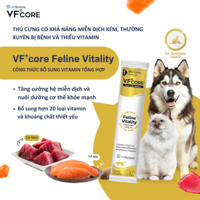 Súp thưởng chức năng VF Core FV Vitamin tổng hợp cho chó mèo gói 12g