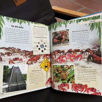 (Bộ 2 cuốn, bìa cứng) AMAZING EARTH - Những Kỳ Quan Phi Thường Nhất Thế Giới & AMAZING ANIMAL JOURNEYS - Những Chuyến Di Cư Và Hành Trình Phi Thường Nhất – Nhiều tác giả – Đinh Tị – NXB Hà Nội