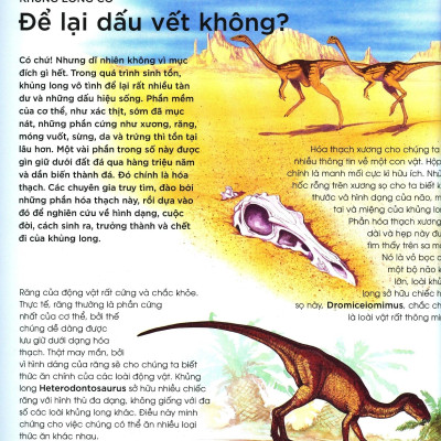 Bạn Có Biết: Khủng Long Có Đẻ Trứng Không? - Hỏi Đáp Về Bò Sát Thời Tiền Sử