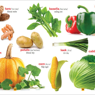 Sách: Từ Điển Tranh Về Rau - Củ - Quả - Hoa (Bìa Cứng)