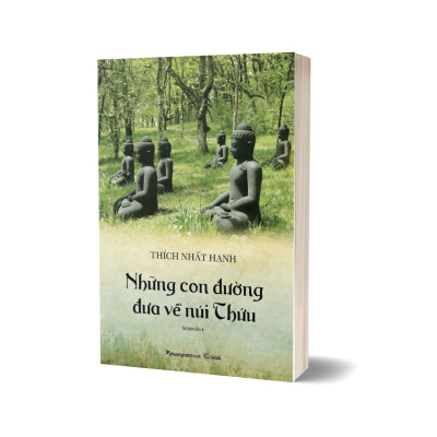 Combo Làng Mai Nhìn Núi Thứu + Những Con Đường Đưa Về Núi Thứu (Bộ 2 Quyển)
