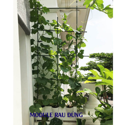 CHẬU TRỒNG RAU BAN CÔNG THẲNG ĐỨNG NÔNG NGHIỆP CÔNG NGHỆ CAO BỒ ĐÀO NHA