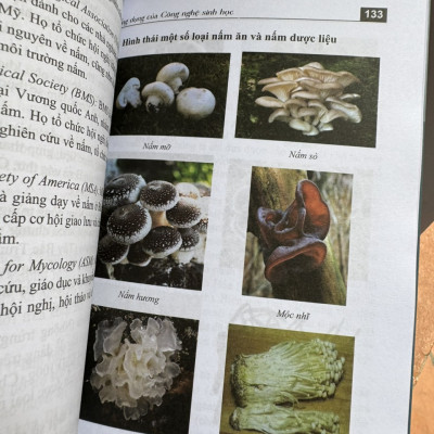 ỨNG DỤNG CỦA CÔNG NGHỆ SINH HỌC - Nguyễn Lân Dũng - Hanoi Books