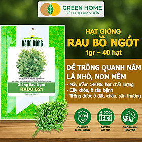 Hạt Giống Rau Bồ Ngót Greenhome, Gói 0,5g, Dễ Trồng Quanh Năm, Nảy Mầm Cao, Thu Hoạch Nhanh, Năng Suất Cao R18