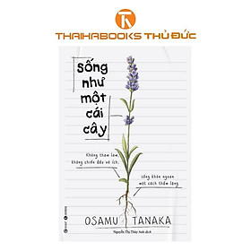 Sách - Sống như một cái cây: Không tham lam, không chiến đấu vô ích, sống khôn ngoan một cách thầm lặng - Thái Hà Books