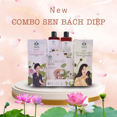 Combo Hương Sen Bách Diệp 