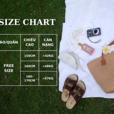 Combo 3 quần đùi/ quần short ngắn mặc nhà cotton thoáng mát- TidyUp